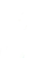 basic dni, proship, under 17, always in drama, problematic, t*ctone fan, hates my favs